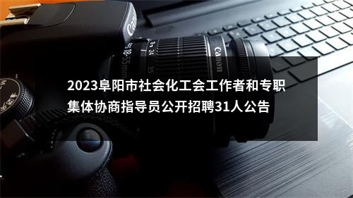 2023阜阳市社会化工会工作者和专职集体协商指导员公开招聘31人公告 图片