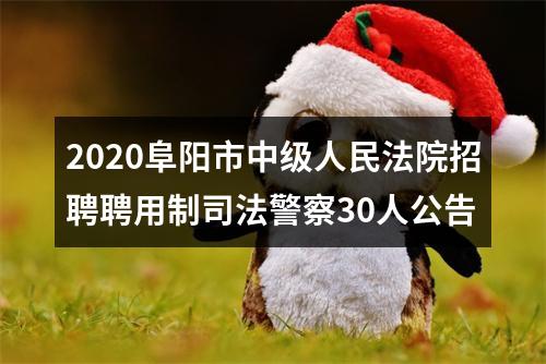 2020阜阳市中级人民法院招聘聘用制司法警察30人公告 图片