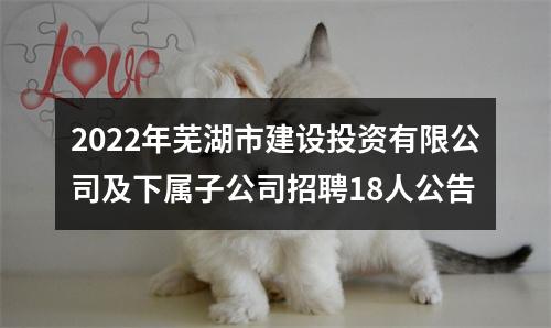 2022年芜湖市建设投资有限公司及下属子公司招聘18人公告 图片