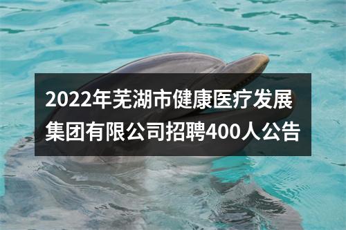 2022年芜湖市健康医疗发展集团有限公司招聘400人公告 图片