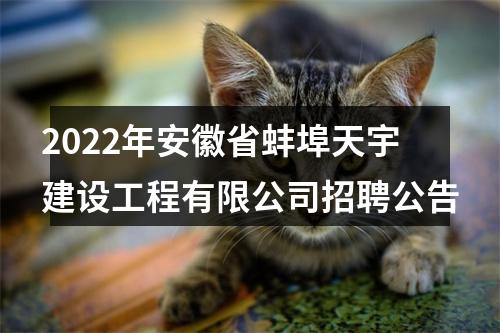 2022年安徽省蚌埠天宇建设工程有限公司招聘公告 图片
